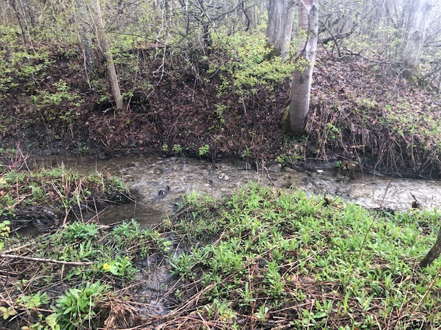 1680 Berry Road Fabius, NY 13084 - Photo 49 of 49 Butternut Creek