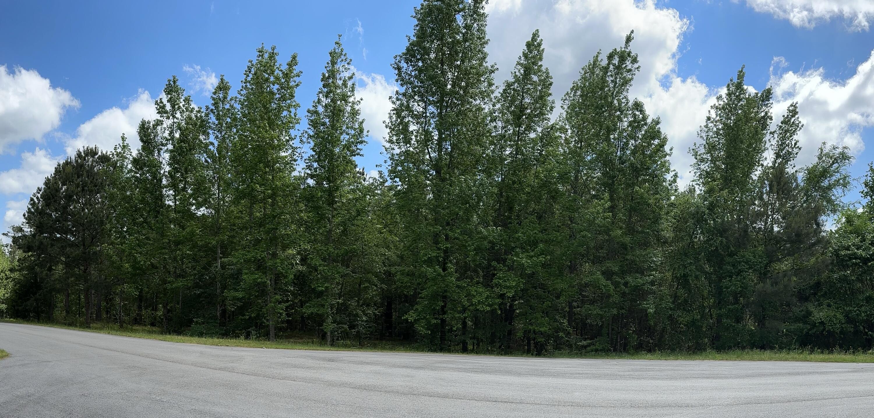 1403 Dunwoody Place 1