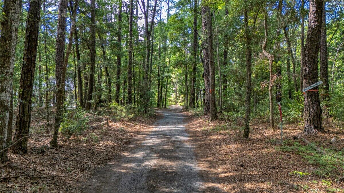32 Middleton Oaks Road Charleston, SC 29414 - Photo 45 of 52 60