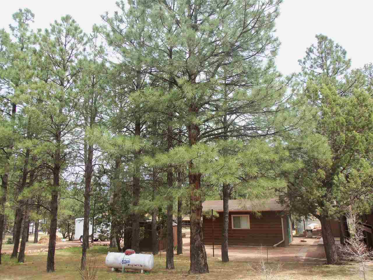 2023 Timber Trail Loop Overgaard, AZ 85933 - Photo 19 of 36