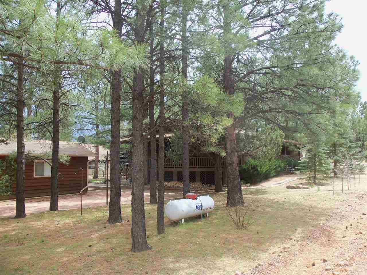 2023 Timber Trail Loop Overgaard, AZ 85933 - Photo 20 of 36