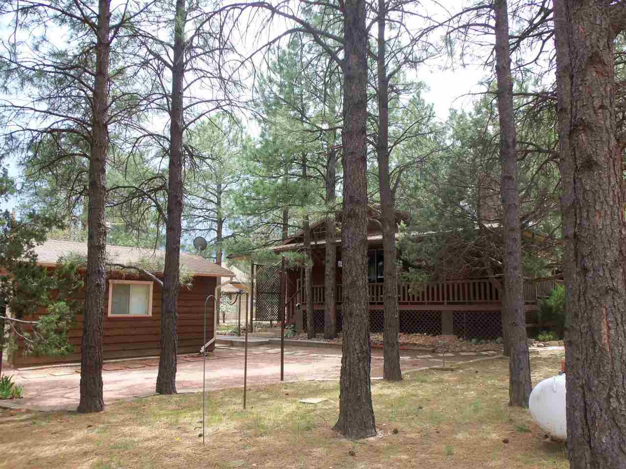2023 Timber Trail Loop Overgaard, AZ 85933 - Photo 21 of 36