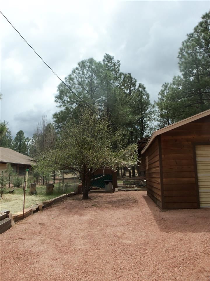 2023 Timber Trail Loop Overgaard, AZ 85933 - Photo 24 of 36