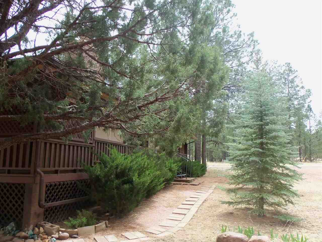 2023 Timber Trail Loop Overgaard, AZ 85933 - Photo 25 of 36