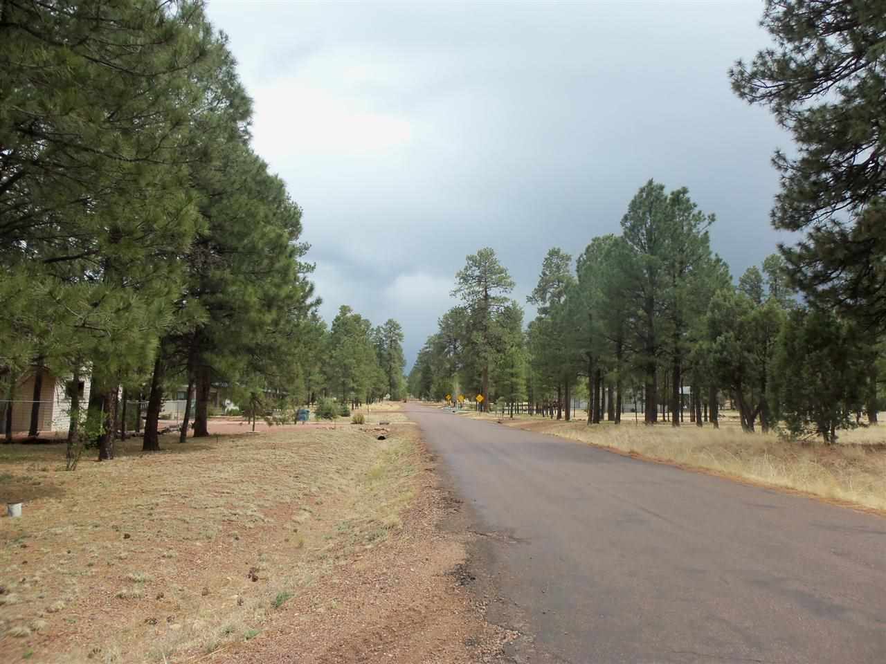 2023 Timber Trail Loop Overgaard, AZ 85933 - Photo 26 of 36