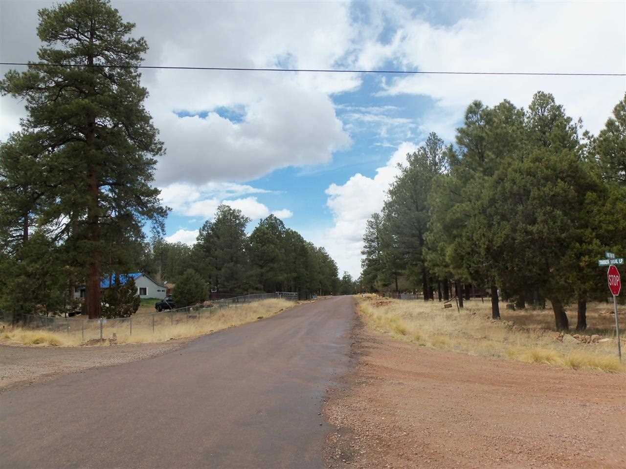 2023 Timber Trail Loop Overgaard, AZ 85933 - Photo 27 of 36