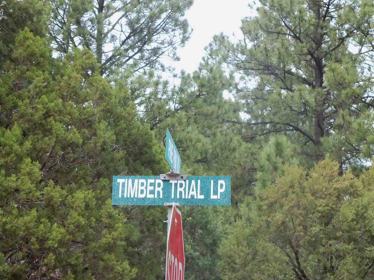 2023 Timber Trail Loop Overgaard, AZ 85933 - Photo 28 of 36