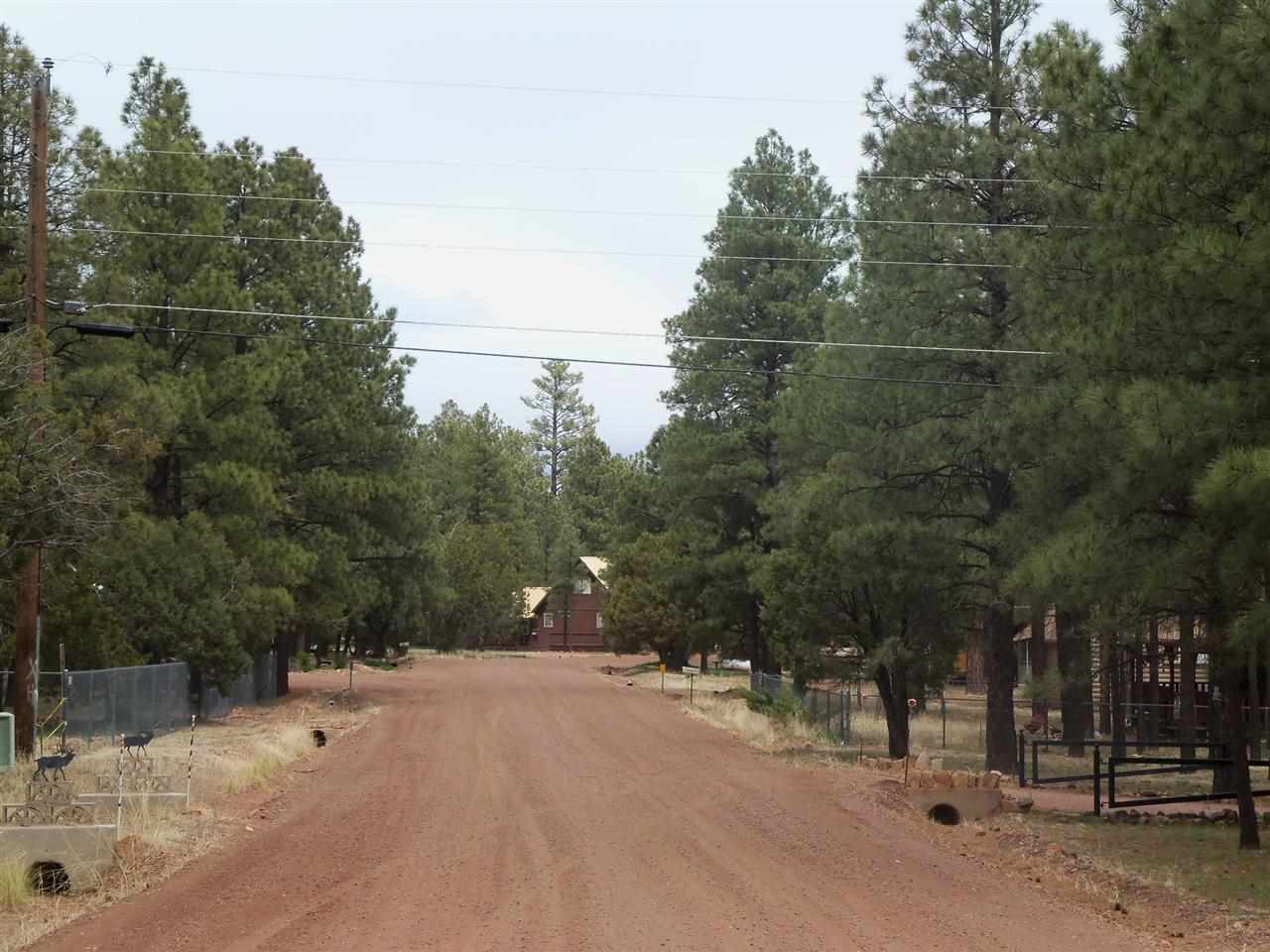 2023 Timber Trail Loop Overgaard, AZ 85933 - Photo 29 of 36