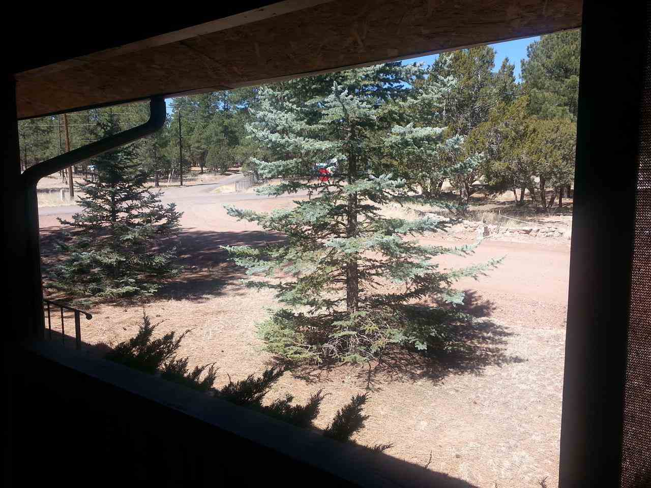 2023 Timber Trail Loop Overgaard, AZ 85933 - Photo 31 of 36