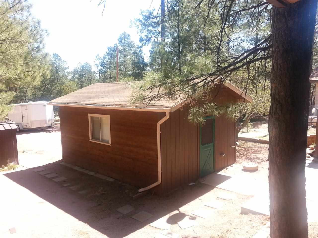 2023 Timber Trail Loop Overgaard, AZ 85933 - Photo 32 of 36