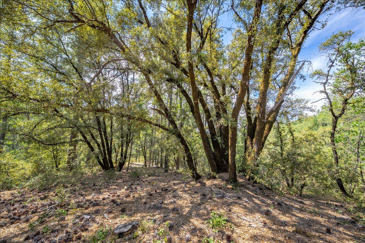 22600 Plumtree Road Colfax, CA 95713 - Photo 12 of 37