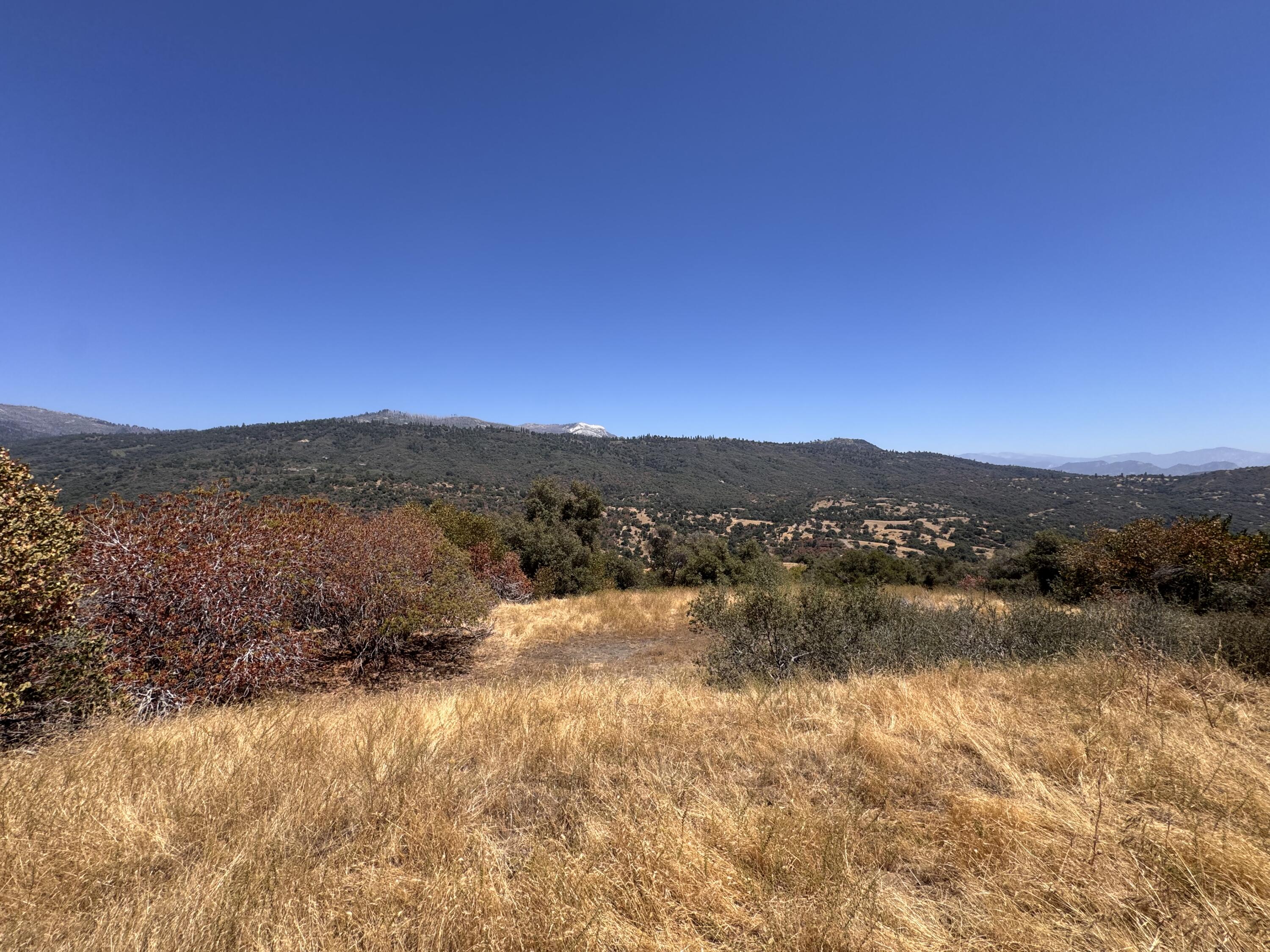 0 Visalia Road Miramonte, CA 93603 - Photo 7 of 13 IMG_1659