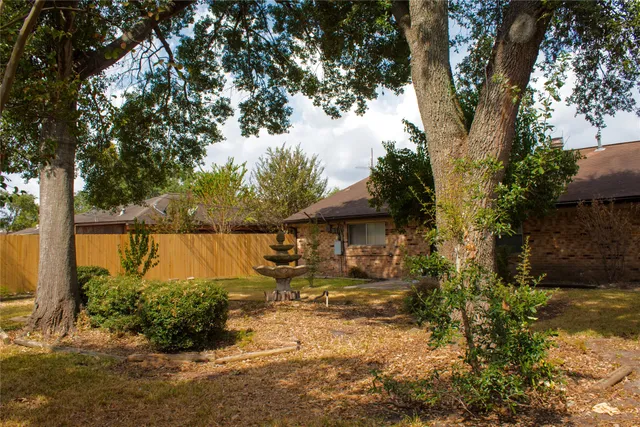 a view of a garden with plants and large trees