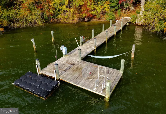 a close up of a wall with a potted plant