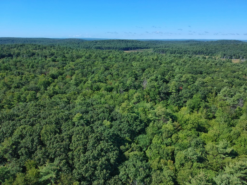 0 Lombard Road Hubbardston, MA 01452 - Photo 2 of 7 a view of a green field with lots of bushes