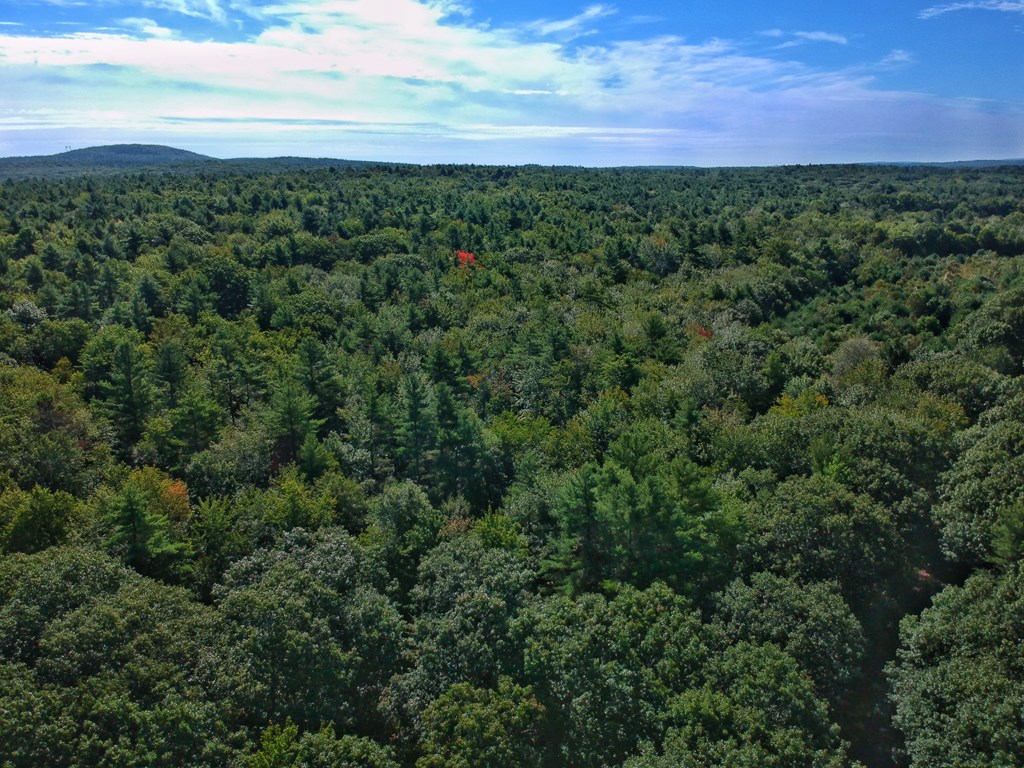 0 Lombard Road Hubbardston, MA 01452 - Photo 4 of 7 a view of a and green yard