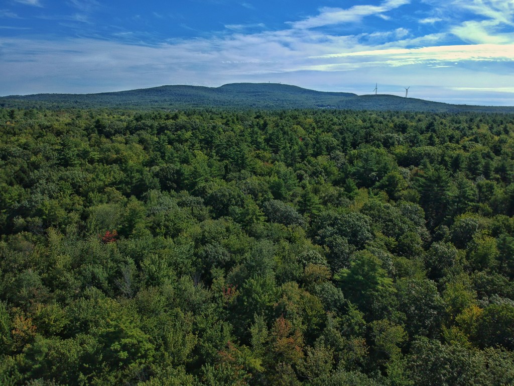 0 Lombard Road Hubbardston, MA 01452 - Photo 5 of 7 a view of a lush green space with sea