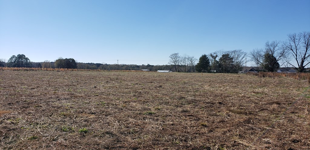 0 County Road 49 Slocomb, AL 36375 - Photo 4 of 6