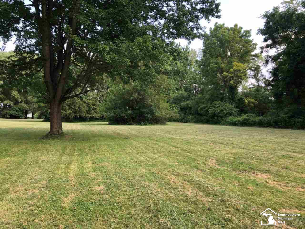 6729 Douglas Road Lambertville, MI 48144 - Photo 9 of 23 Yard to ravine
