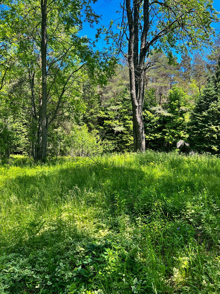 35 Trudeau Road Saranac Lake, NY 12983 - Photo 20 of 25 Gallery Image 20