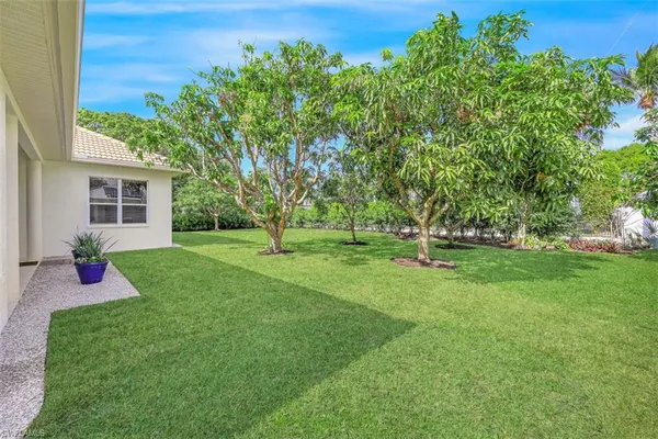 a garden view with a garden