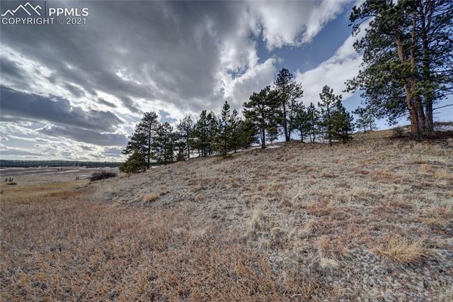 297 High Pasture Road Florissant, CO 80816 - Photo 20 of 23