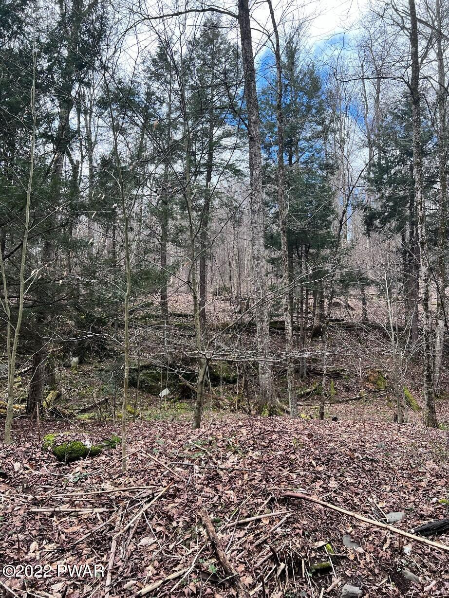 104 Memorial Links Road Pleasant Mount, PA 18453 - Photo 10 of 14