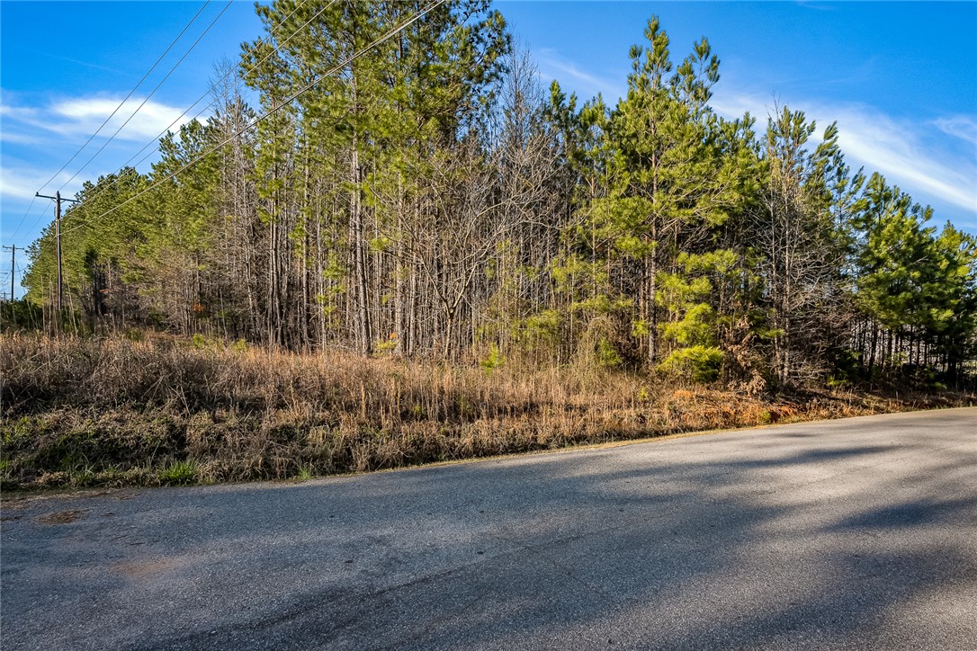 328 Hammond Circle Anderson, SC 29621 - Photo 3 of 7