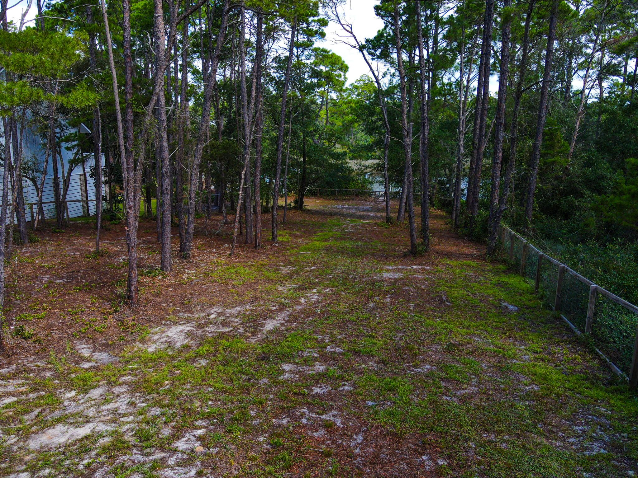 898 North Walton Lakeshore Drive Inlet Beach, FL 32461 - Photo 7 of 13 a backyard of a house with lots of green space