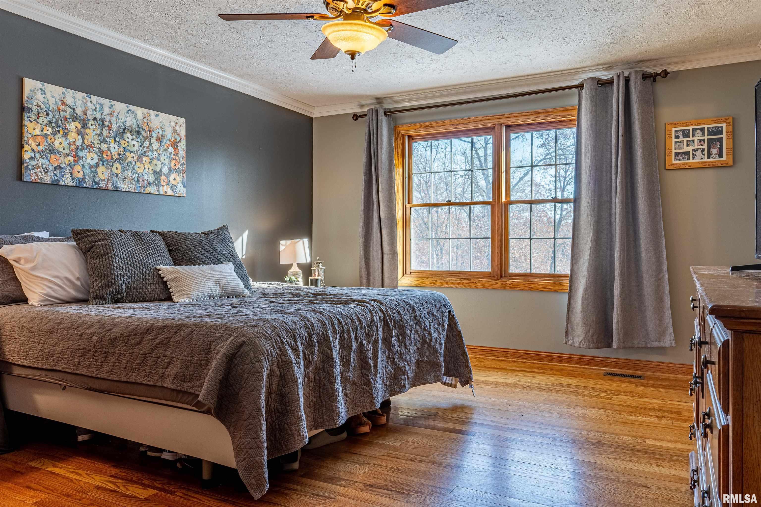 16036 King Road Danvers, IL 61732 - Photo 18 of 77