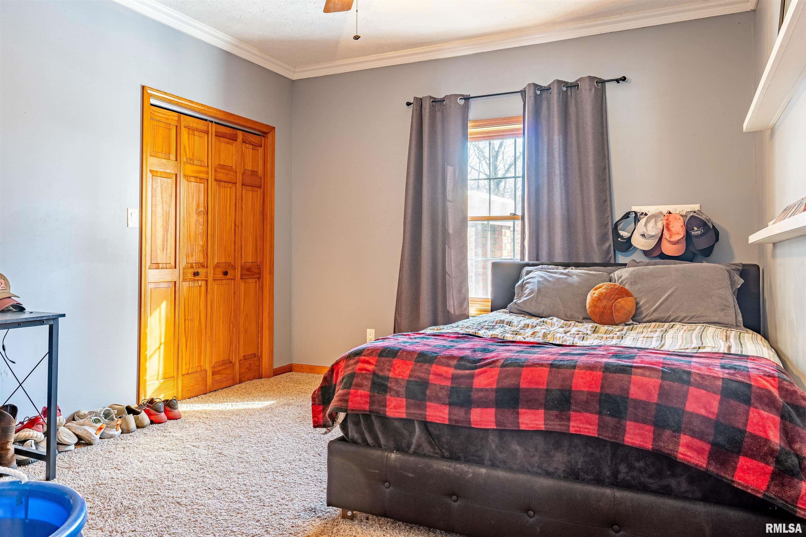 16036 King Road Danvers, IL 61732 - Photo 34 of 77