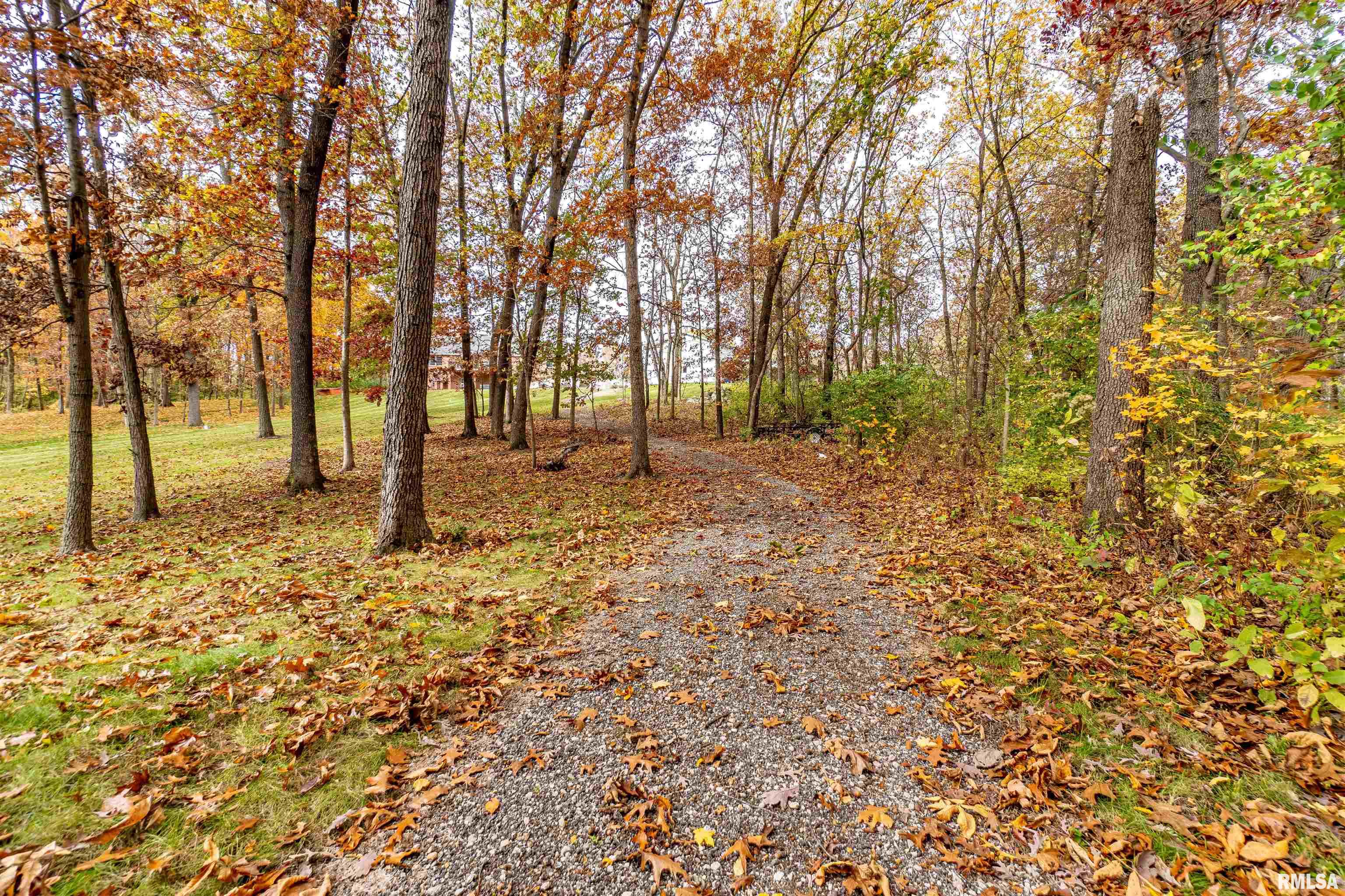 16036 King Road Danvers, IL 61732 - Photo 5 of 77