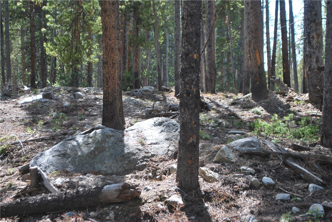 53 Bryce Estates Road Breckenridge, CO 80424 - Photo 21 of 25 Gallery Image 21