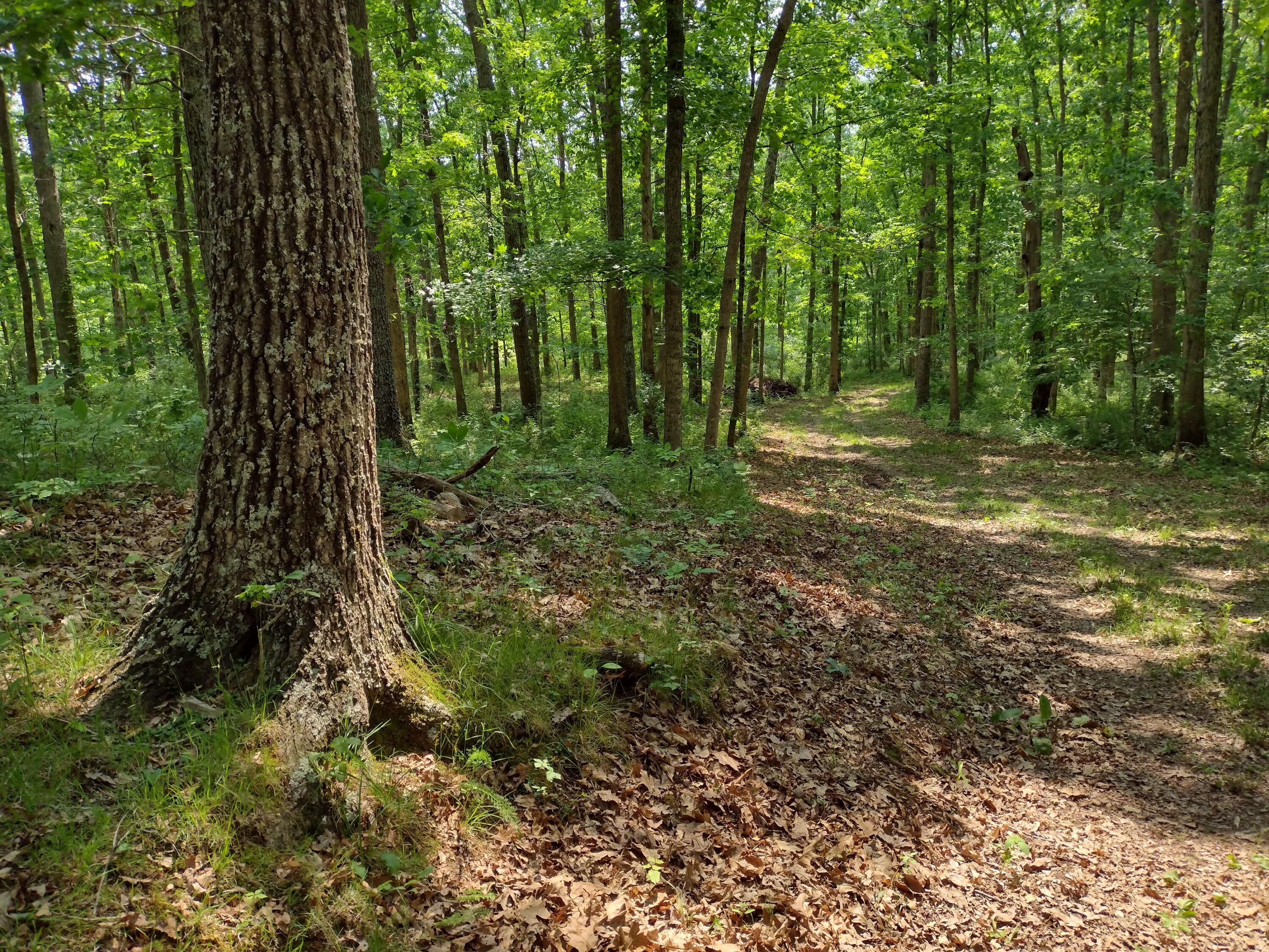 460 Garner Road Frankford, WV 24938 - Photo 67 of 67 Gallery Image 67