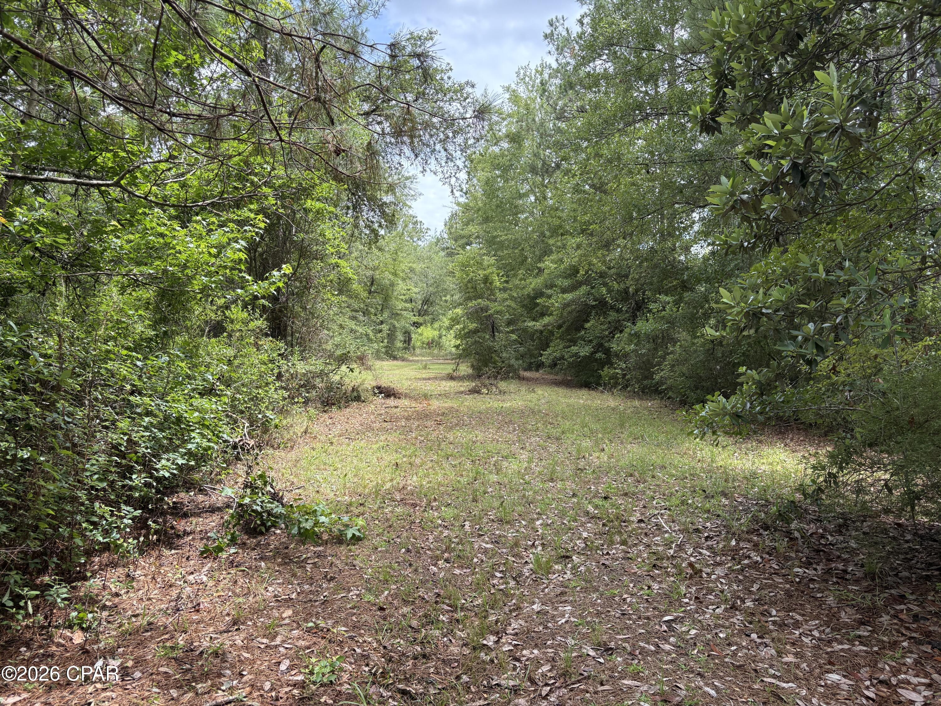 2802 Sylvania Road Vernon, FL 32462 - Photo 30 of 38