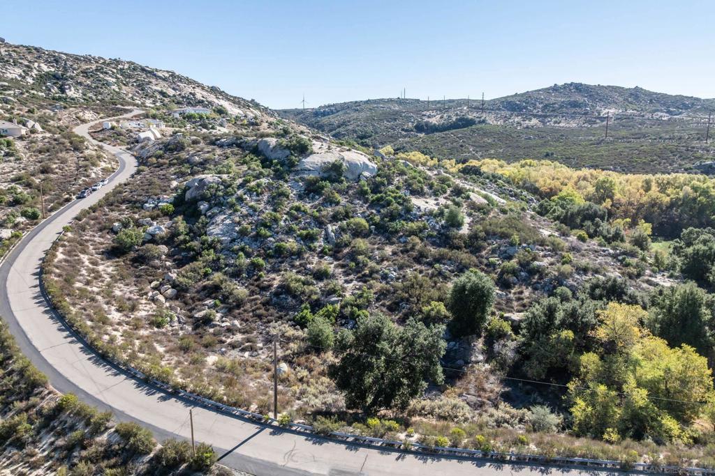 35546 Stagecoach Springs Road Pine Valley, CA 91962 - Photo 13 of 22 a view of a forest with a mountain