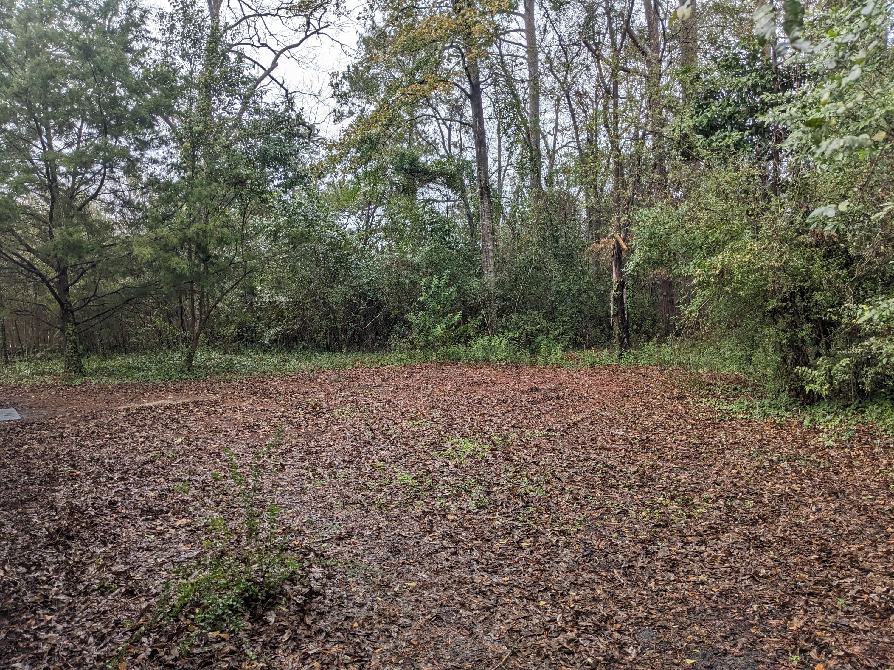 303 East George Street St. George, SC 29477 - Photo 22 of 23 PXL_20250127_210007281