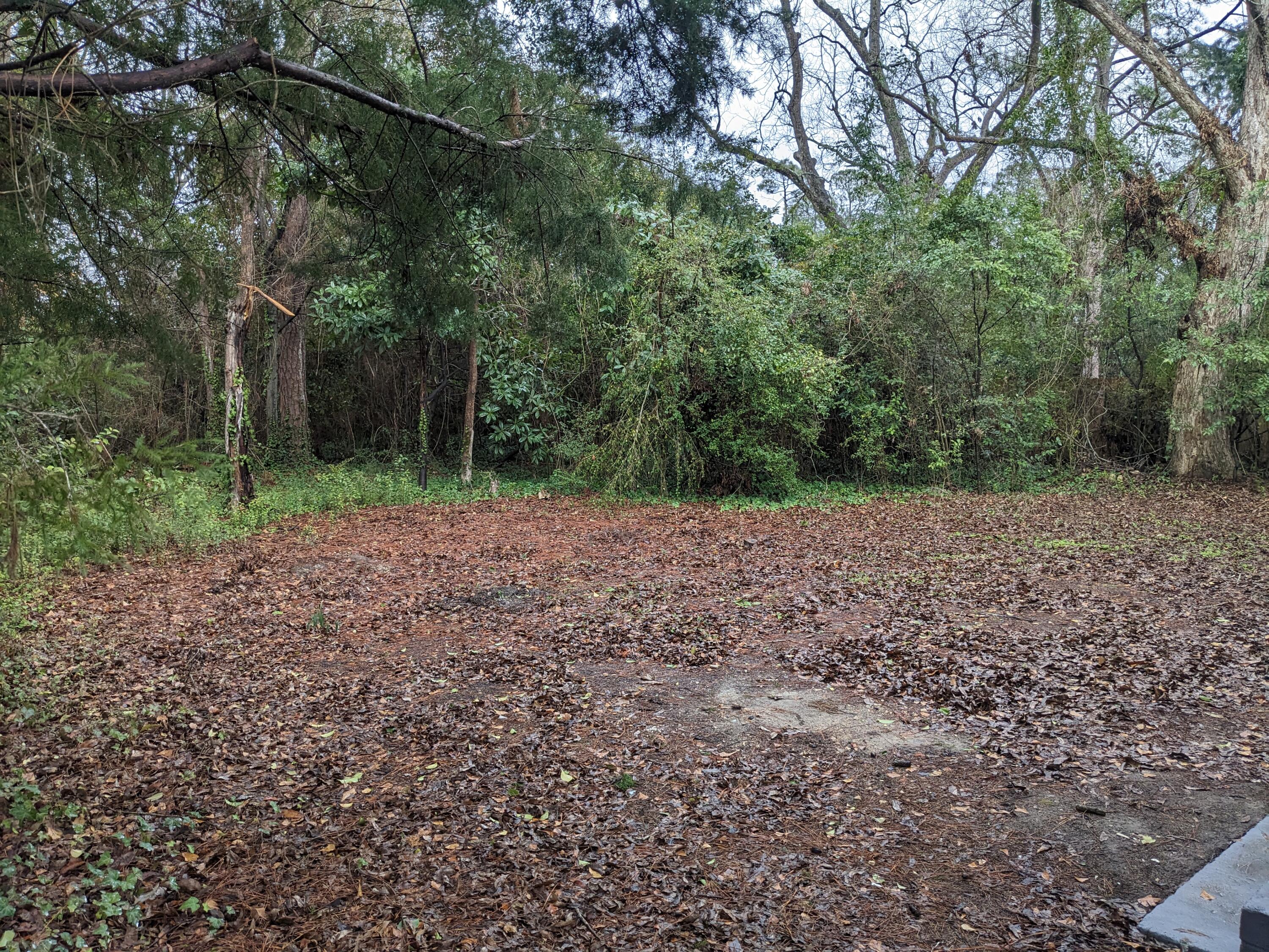 303 East George Street St. George, SC 29477 - Photo 23 of 23 PXL_20250127_205946392