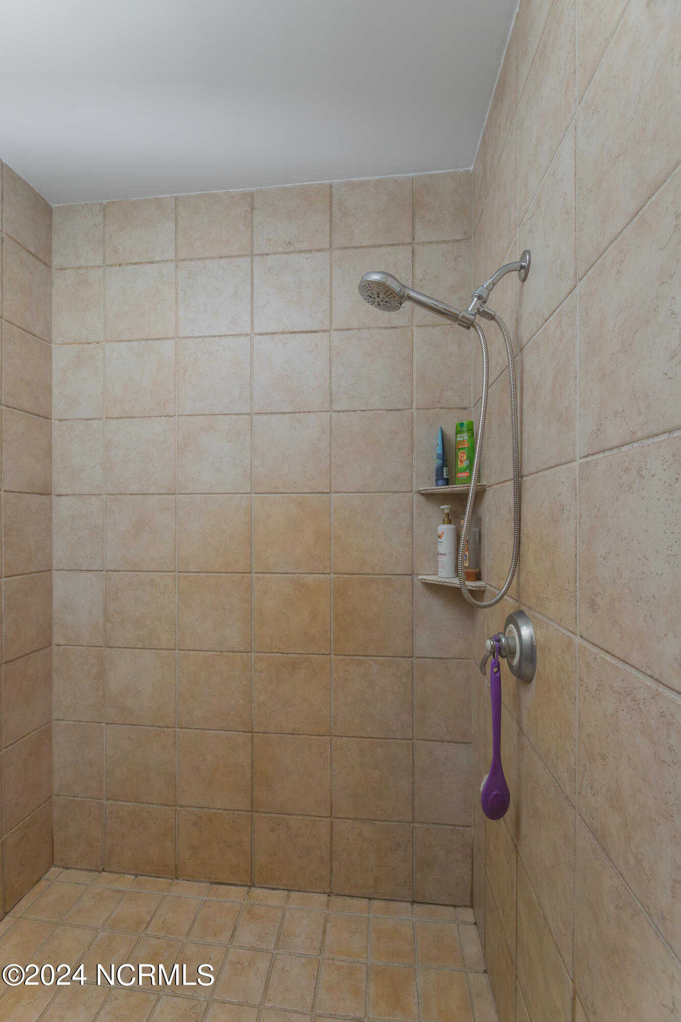 237 White Oak Bluff Road Stella, NC 28582 - Photo 63 of 110 WalkinShower