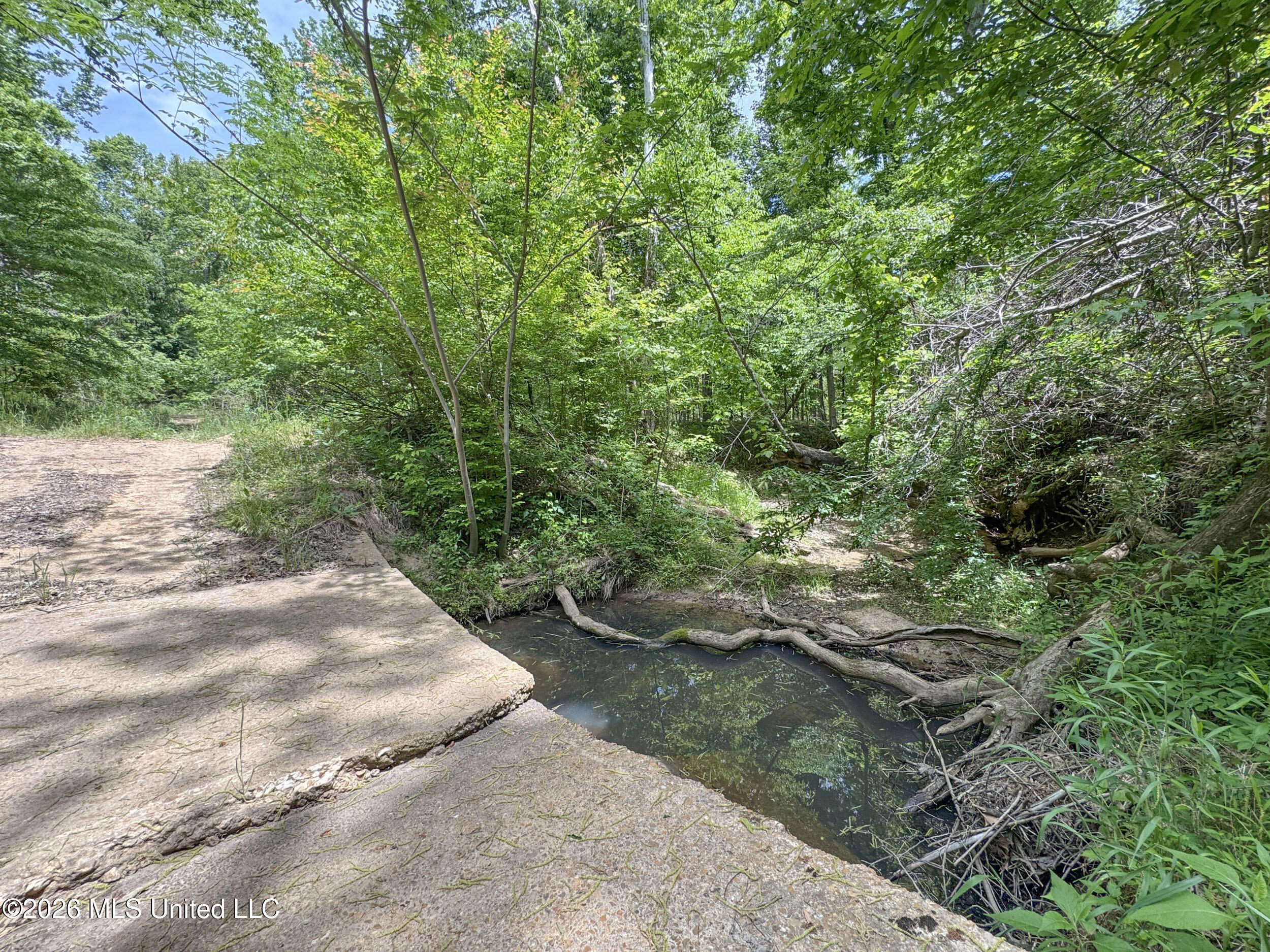 Chinqupin Road Lexington, MS 39095 - Photo 182 of 210 8chqpn48