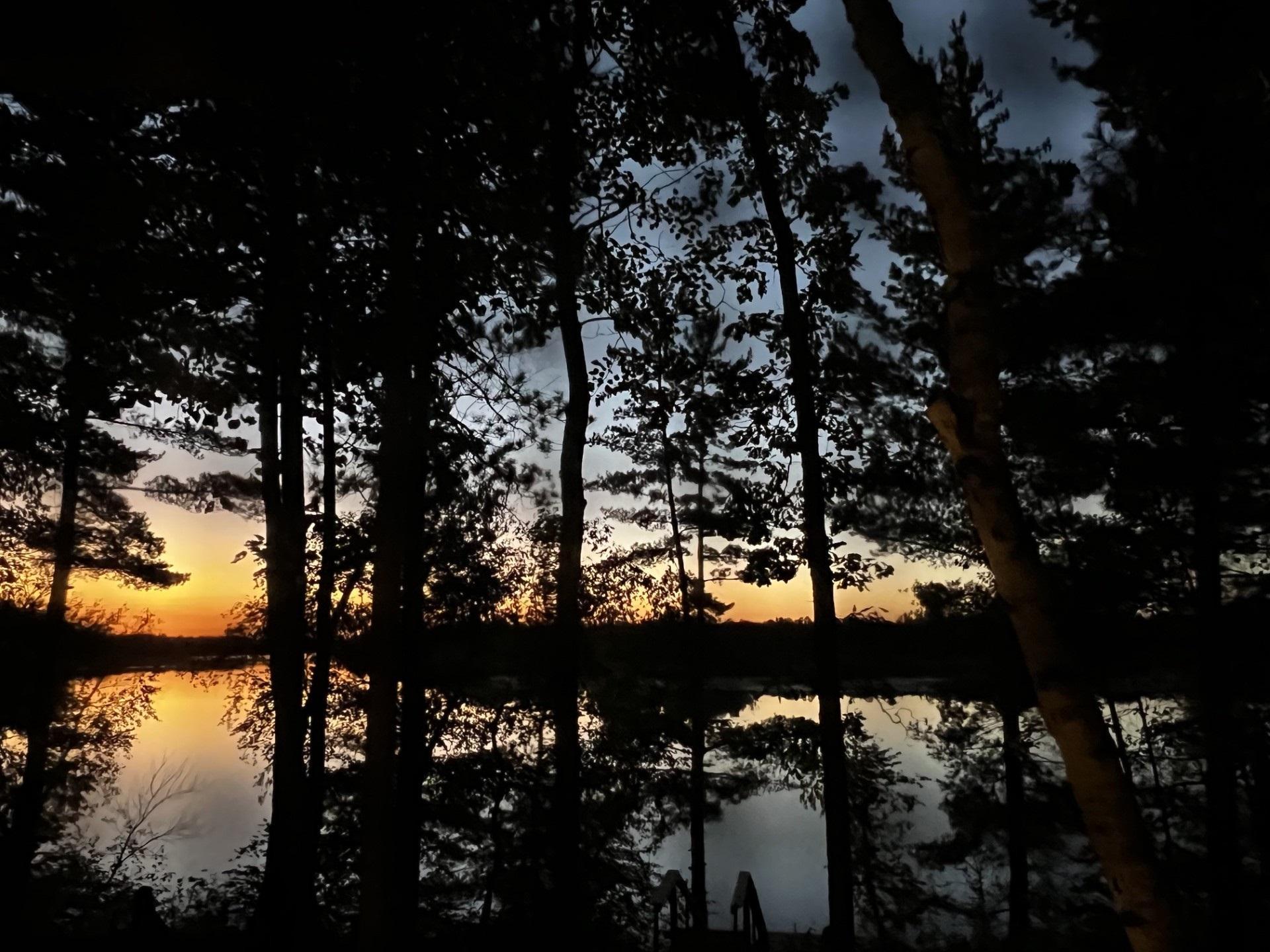 6274 Azalea Road Motley, MN 56466 - Photo 42 of 45