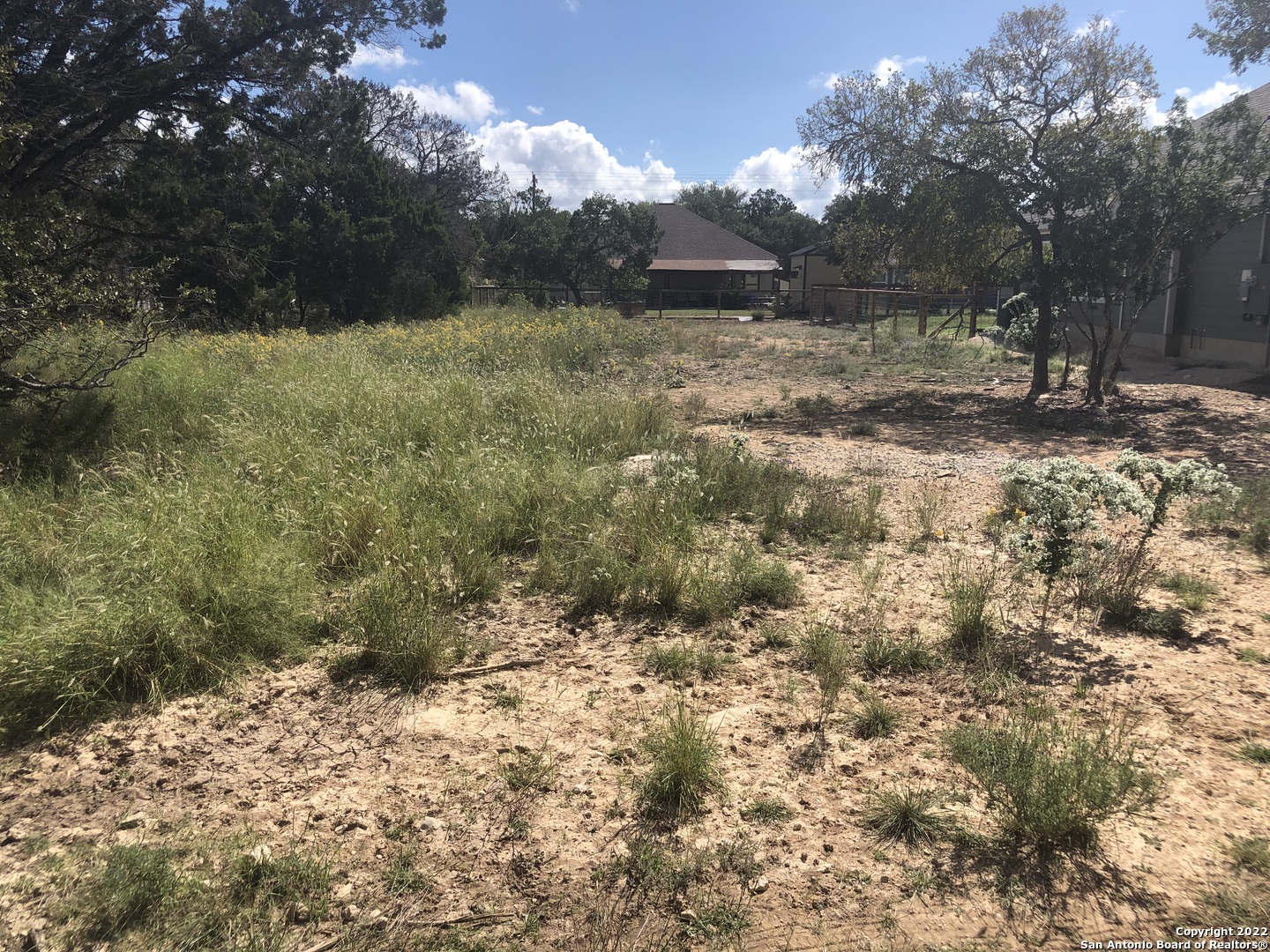 a view of a yard with a tree