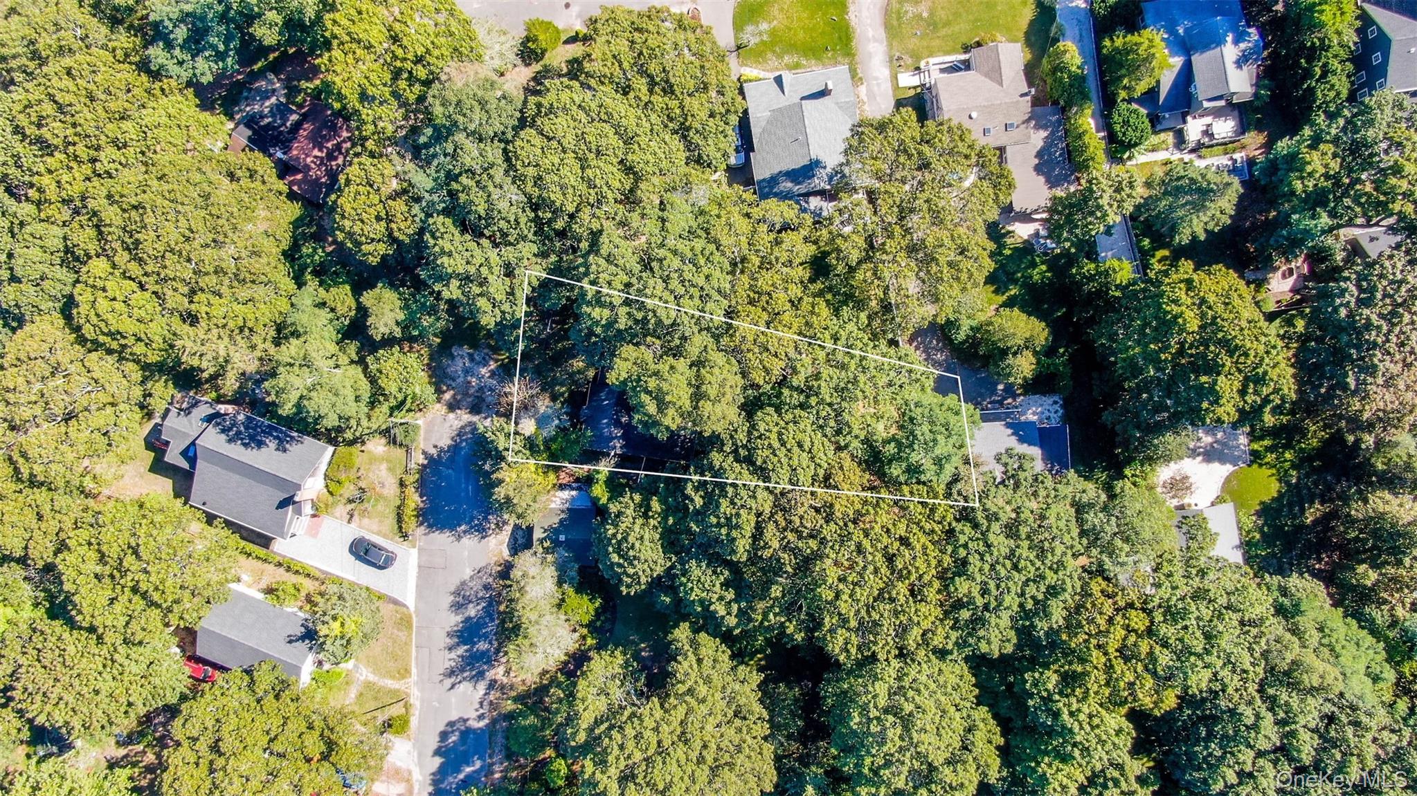 a picture of flowers