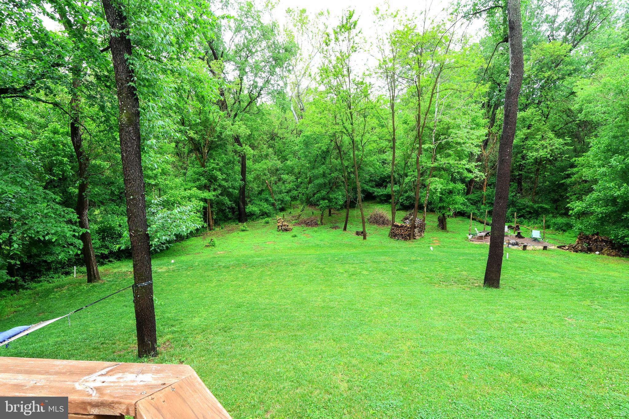 16919 Shaffer Road Sharpsburg, MD 21782 - Photo 46 of 58 a view of backyard with a barn and large trees