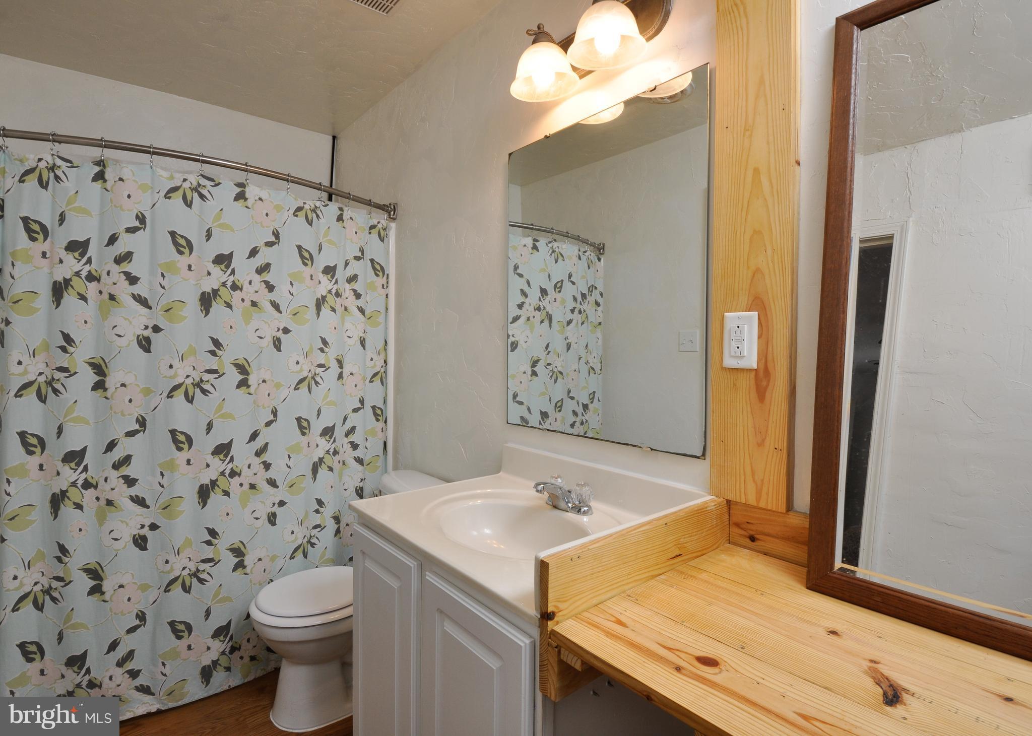 14333 Poplar Neck Road King George, VA 22485 - Photo 16 of 30 Bath (Master)