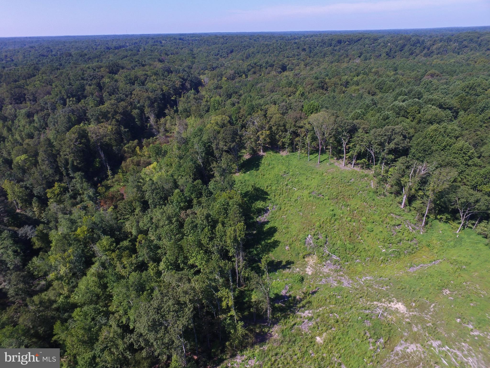 14333 Poplar Neck Road King George, VA 22485 - Photo 23 of 30 Aerial View
