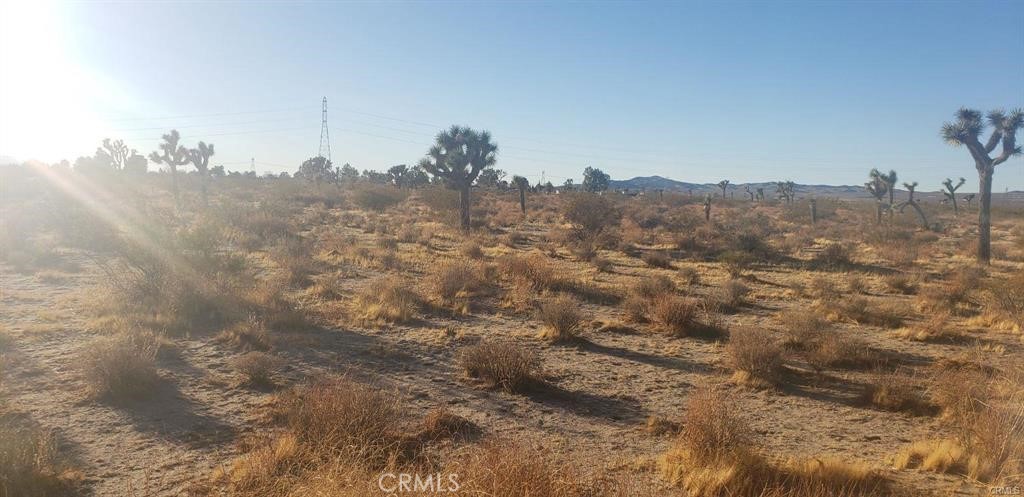 7 Near Racoon Adelanto Ca  