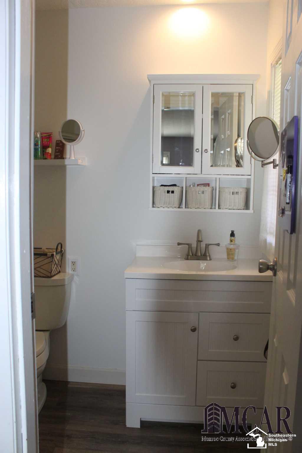 15655 Albain Road Petersburg, MI 49270 - Photo 15 of 32 Master Bathroom View 2
