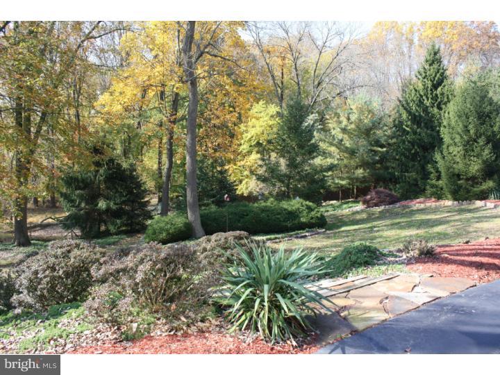 1090 Media Line Road Newtown Square, PA 19073 - Photo 6 of 24 View in Back