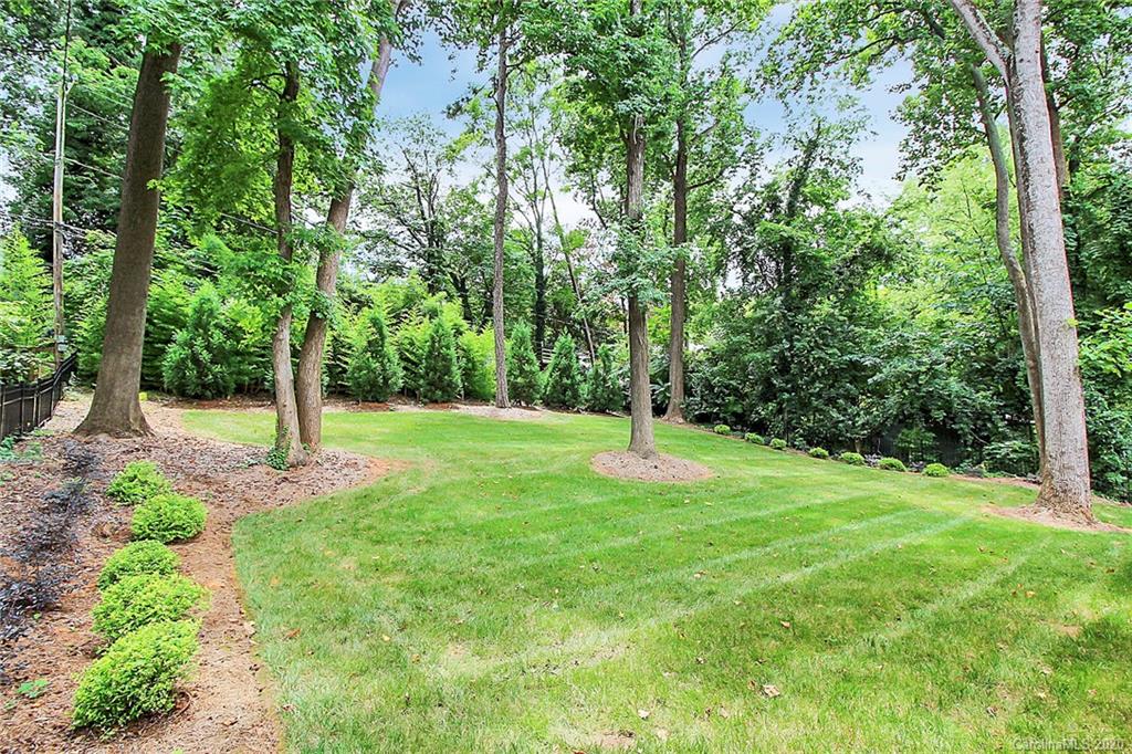 132 Scofield Road Charlotte, NC 28209 - Photo 36 of 44 a backyard of a house with lots of plants and large tree